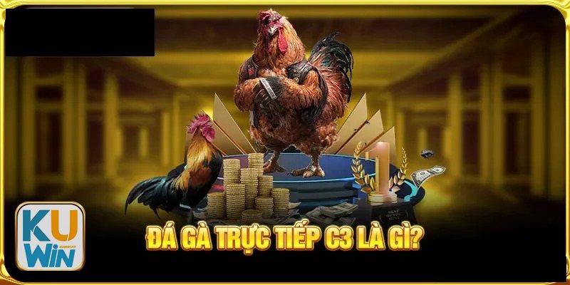 Cách xem chân gà đá - Thử nâng chân